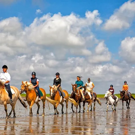 Gud Jard Nr 26 - Design-ferienhaus Mit Exklusiver Ausstattung