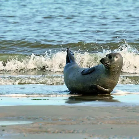 Gud Jard Nr 26 - Design-ferienhaus Mit Exklusiver Ausstattung *